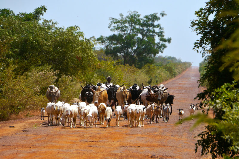 Mali